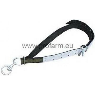 KERBL Obojek s vazákem Top 170 x 7 cm pouze obojek – Hledejceny.cz