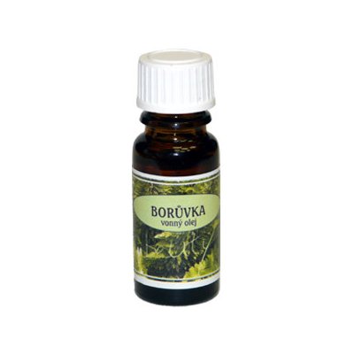 Essential Oil vonný olej Borůvka 10 ml – Hledejceny.cz