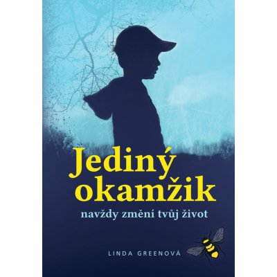 Jediný okamžik navždy změní tvůj život - Linda Green – Zboží Mobilmania