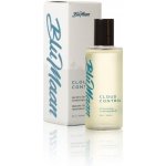 Blumaan Cloud Control Hair Oil vyživující olej na vlasy 60 ml – Hledejceny.cz