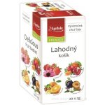 Apotheke PREMIER Lahodný košík čaj 4v1 20 x 2 g – Hledejceny.cz