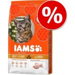 Iams Kitten & Junior All Breeds Chicken 2,6 kg – Hledejceny.cz