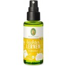 Primavera Airspray Pro lehčí učení 30 ml