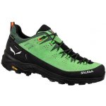 Salewa Alp Trainer 2 Gtx pale frog – Hledejceny.cz