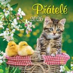 Přátelé nástěnný 33 x 33 cm 2026 – Zboží Mobilmania