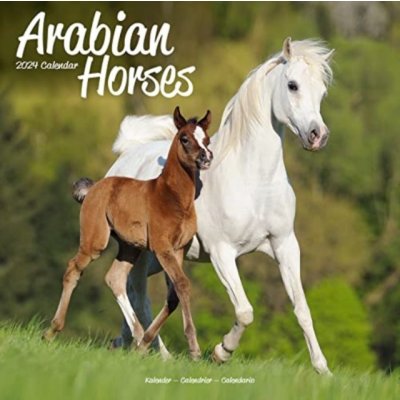 Arabian Horses Square Horses Wall 16 Month 2024