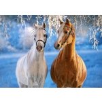 Castorland Koně v zasněžené krajině 260 dílků – Zboží Mobilmania