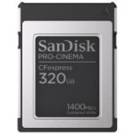 SanDisk 320 GB SDCFEC-320G-GN4NN – Zboží Mobilmania