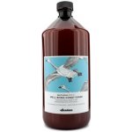 Davines NATURALTECH Well-Being hydratační kondicionér 1000 ml – Zboží Dáma