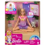 Barbie Wellness a meditace – Hledejceny.cz