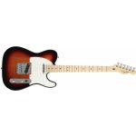 Fender Player Telecaster MN – Zboží Mobilmania