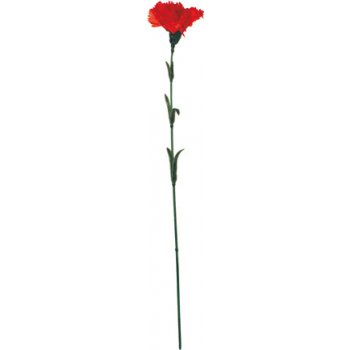 Autronic Karafiát, barva červená Květina umělá 3119-0-1-RED