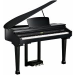 Kurzweil KAG100 – Zboží Dáma