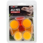 Repti Planet Jelly Pots Fruit 8 ks – Zboží Mobilmania