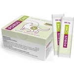 Dechra Veterinary Products A/S Porus One 30 x 500 mg – Sleviste.cz