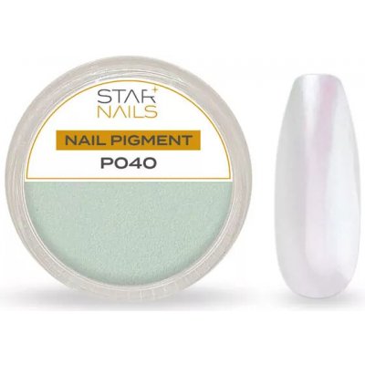 Starnails Nail Art zdobení pigment P040 – Hledejceny.cz