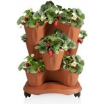 Bama Triola 30015 květináče set 40 x 51 terakota – Hledejceny.cz