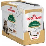 Royal Canin Maine Coon Adult 24 x 85 g – Hledejceny.cz