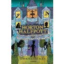 Kniha Horton Halfpott aneb Zapeklitá záhada a proradné intriky na zámku Skuhrov
