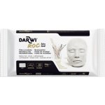 Darwi The Self-Hardening Modelling Clay Roc 1000 g – Hledejceny.cz