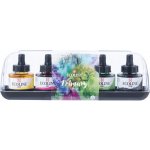 Royal Talens akvarelové inkousty Aquarell Ink 30 ml 5 ks základní – Zboží Dáma