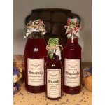 Sedmikráska ovocný sirup Brusinka 0,5 l – Hledejceny.cz