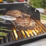 Weber Spirit E-325 – Zboží Dáma
