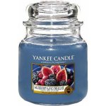 Yankee Candle Mulberry & Fig Delight 411 g – Hledejceny.cz