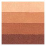 Charbonnel Grafická barva 200 ml burnt sienna – Hledejceny.cz