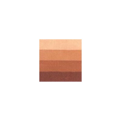 Charbonnel Grafická barva 200 ml burnt sienna – Hledejceny.cz