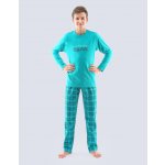 Gina dětské pyžamo tyrkysová – Hledejceny.cz