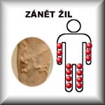Jukl tinktura kaštan 30 ml – Hledejceny.cz
