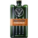 Likér Jägermeister Coolpack 35% 0,35 l (holá láhev)