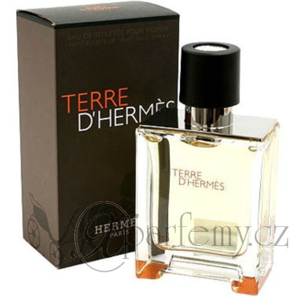 Hermès Terre D'Hermès parfém pánský 200 ml | Srovnanicen.cz