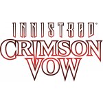 Wizards of the Coast Magic The Gathering: Innistrad Midnight Hunt Commander Coven Counters – Zboží Dáma