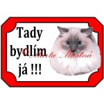 Cedulka kočka ragdoll lynx 2 - Bez samolepicí vrstvy – Zboží Mobilmania