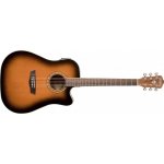 WASHBURN WD7SCE – Zbozi.Blesk.cz