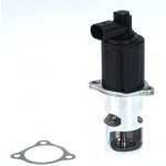 BorgWarner (Wahler) AGR-Ventil 710776D – Sleviste.cz