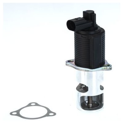 BorgWarner (Wahler) AGR-Ventil 710776D – Sleviste.cz