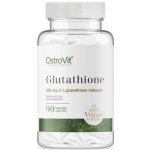 Ostrovit Glutathion vege 90 kapslí – Hledejceny.cz
