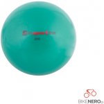 inSPORTline Yoga Ball 2 kg – Hledejceny.cz