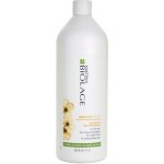 Matrix Biolage SmoothProof Conditioner 1000 ml – Zbozi.Blesk.cz