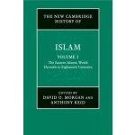 New Cambridge History of Islam: Volume 3, The Eastern Islamic World, Eleventh to Eighteenth Centuries – Hledejceny.cz
