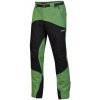 Pánské sportovní kalhoty Direct Alpine kalhoty Mountainer green/black