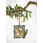 Singing Friend Krmítko pro ptáky Anna na 1 koláč – Zboží Mobilmania