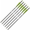 Šípy a šipky pro kuše Black Flash Archery TrueX Bear Archery karbon 20″ 6 ks