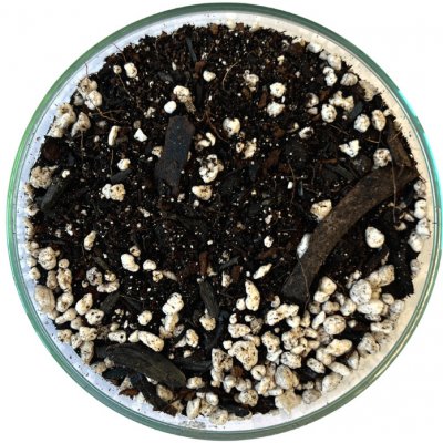 Gardners Substrát pro Calathey 1 l – Zboží Dáma