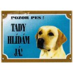 Dafiko Tabulka Labradorský retriever světlý – Hledejceny.cz