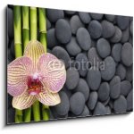 Skleněný obraz 1D - 100 x 70 cm - Gorgeous orchid and thin bamboo grove on pebbles Nádherná orchidej a tenká bambusová háj na oblázcích – Hledejceny.cz