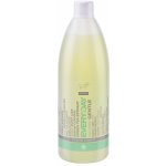 Master Profesional šampon pro každodenní použití 970 ml – Hledejceny.cz